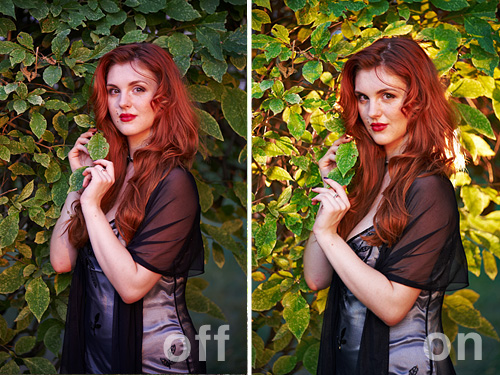 FocusMastermindX - Image 3